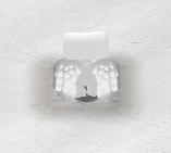 Angel Wings Preview Back.png