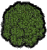 Forest Leaves.png