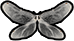 Dragonfly Wings.png